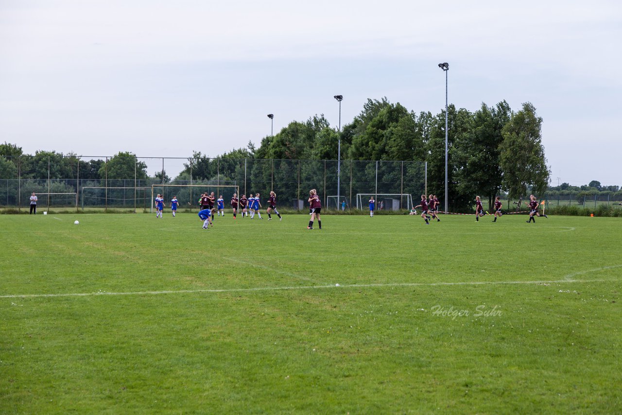 Bild 412 - Frauen SG Wilstermarsch - FSC Kaltenkirchen Aufstiegsspiel : Ergebnis: 2:1